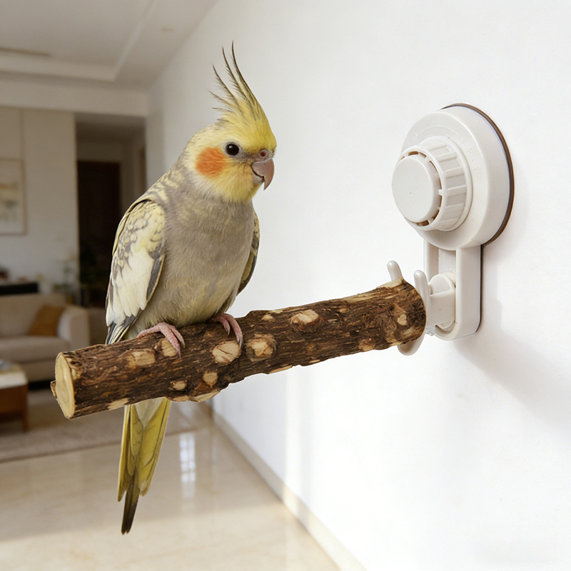 حامل ببغاء خشبي بقاعدة شفط، مز - مراجعة Woodworking Joint وسعره